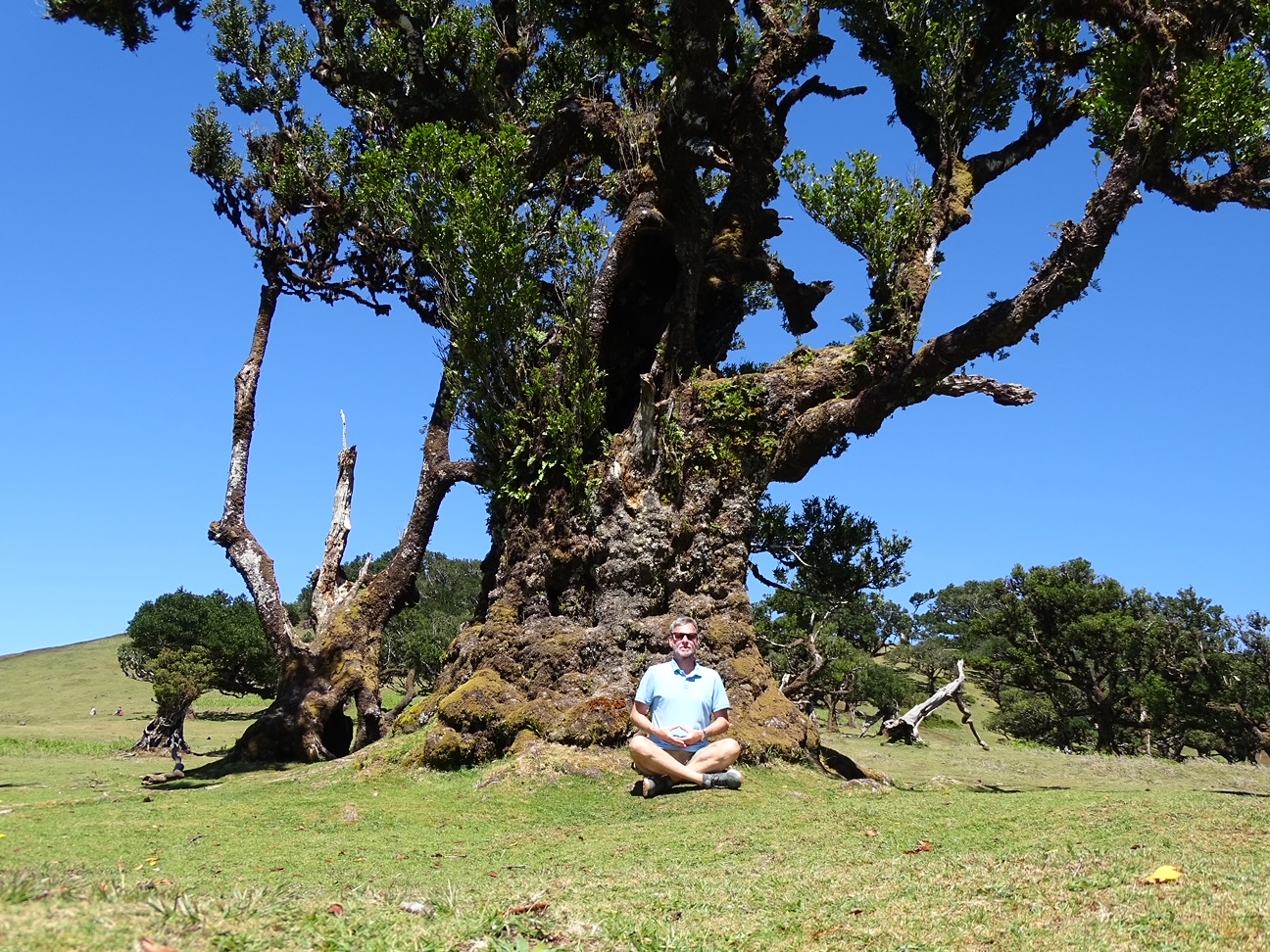 Zen.nl, Zen, meditatie, leren mediteren, foto